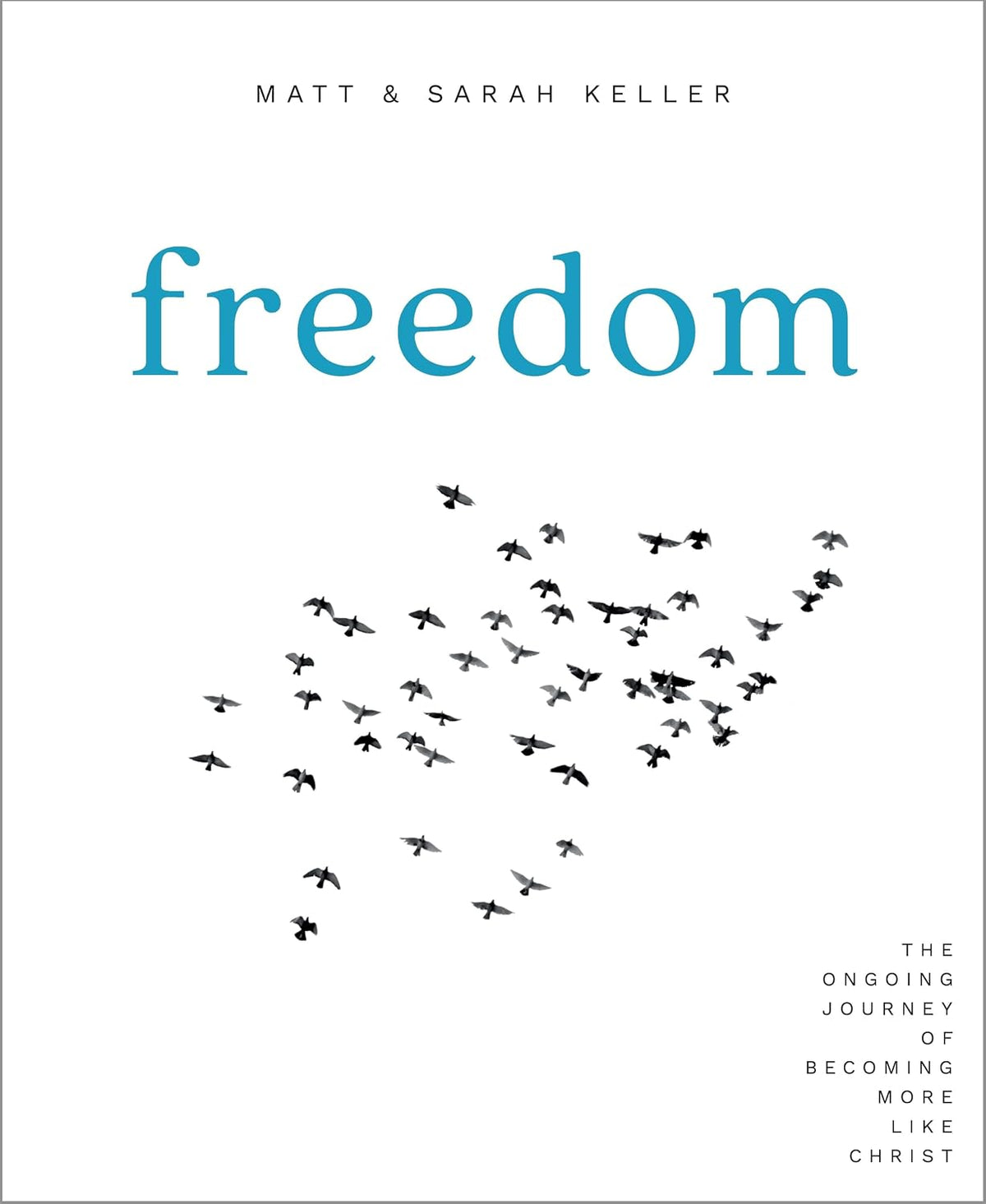 Freedom Participant Guide: The Ongoing Journey of Becoming More Like Christ