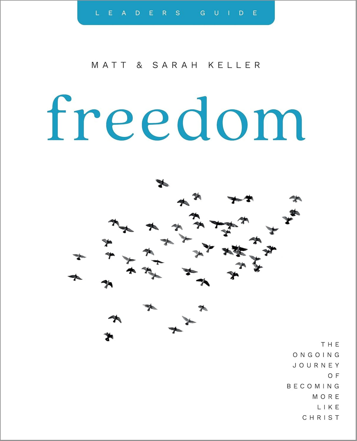 Freedom Leader's Guide: The Ongoing Journey of Becoming More Like Christ